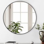 מראת קפסולה